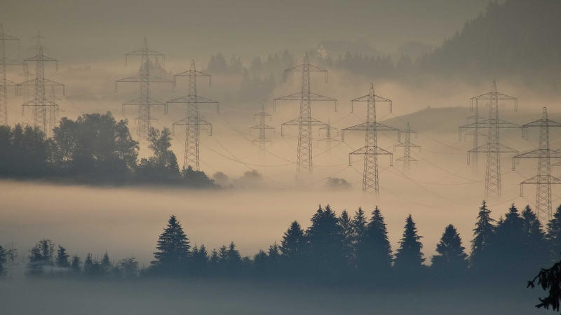 Transmission towers in fog beside a forest.